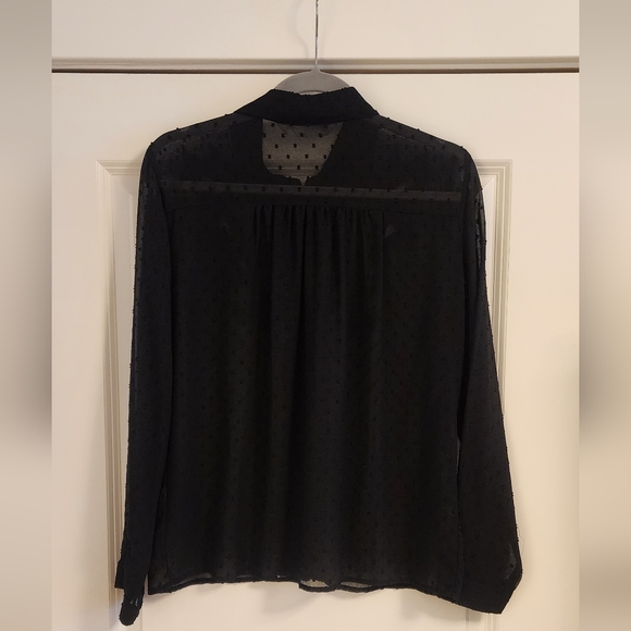 Zara sheer black button up blouse - Picture 4 of 4